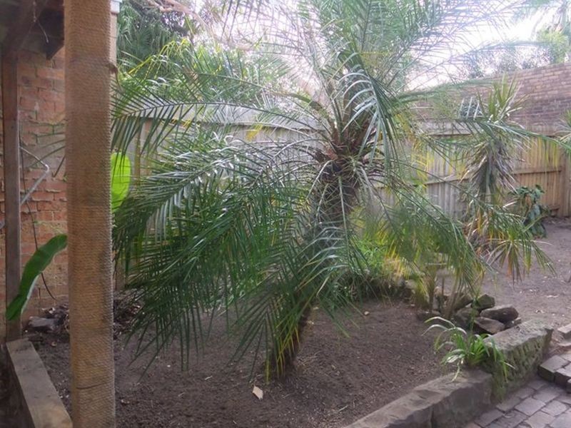 139 Darley Street, Newtown NSW 2042