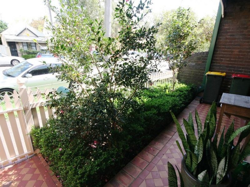 7 Jennings Street, Alexandria NSW 2015