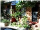 34 Gowrie Street, Newtown NSW 2042