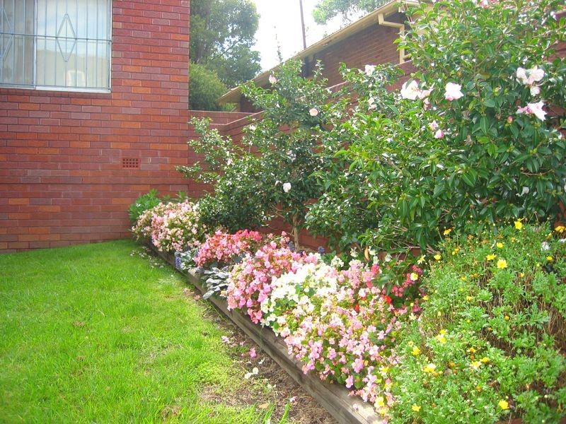 13/77 Cavendish Street, Stanmore NSW 2048