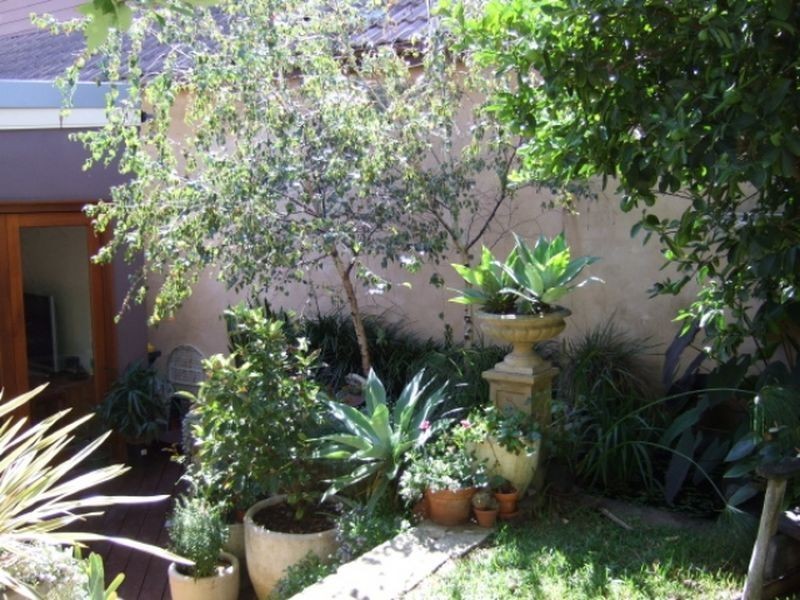 44 Griffiths Street, Tempe NSW 2044