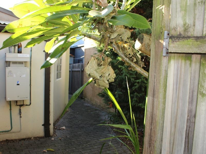 34 Wilford Street, Newtown NSW 2042