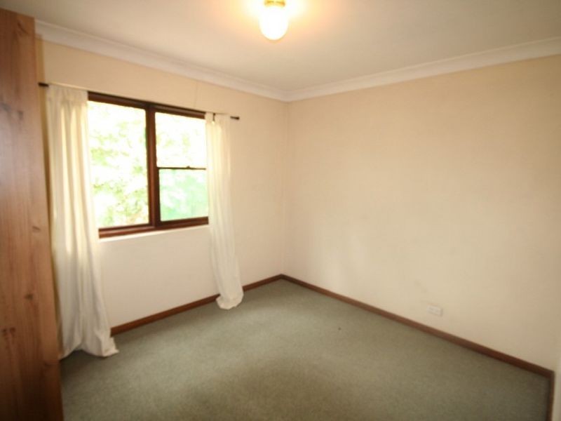 43 Gerard Street, Alexandria NSW 2015