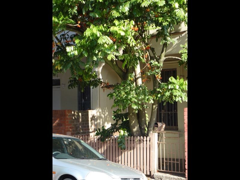 110 Lennox Street, Newtown NSW 2042