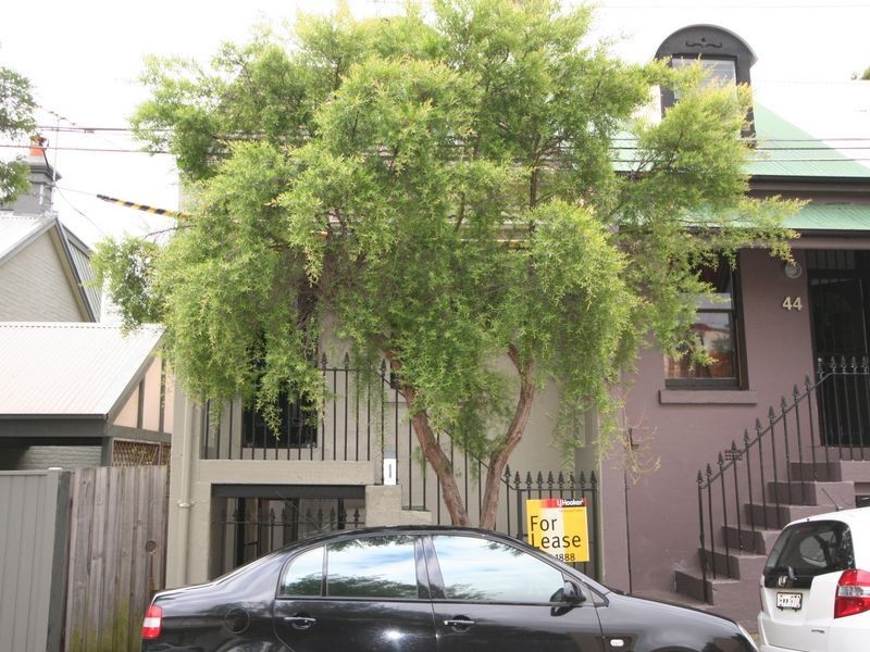 42 Bishopgate Street, Camperdown NSW 2050