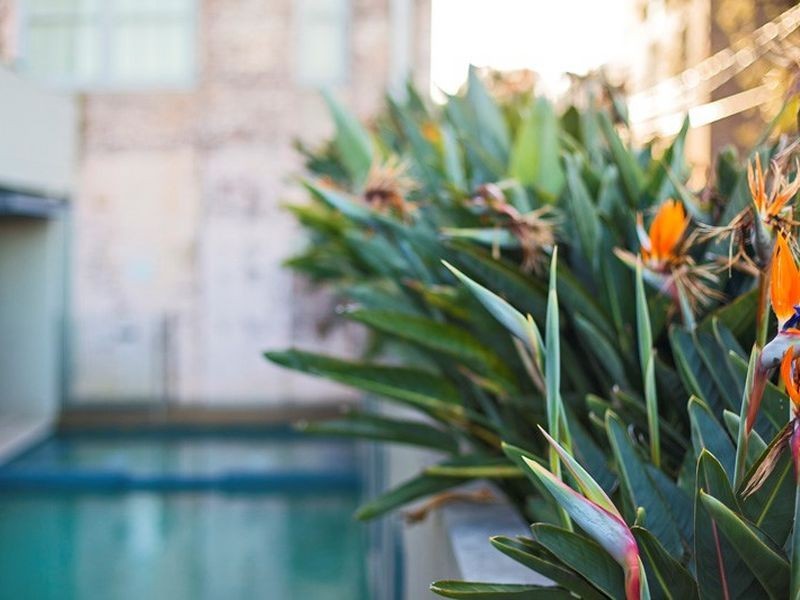 312/11-23 Gordon Street, Marrickville NSW 2204