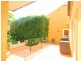 20 Water Street, Annandale NSW 2038