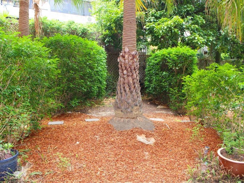 104/130 Carillon Avenue, Newtown NSW 2042