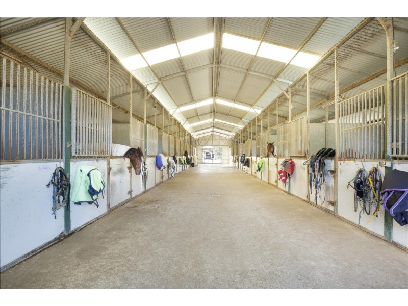 3 Kingston Town Drive, Kembla Grange NSW 2526