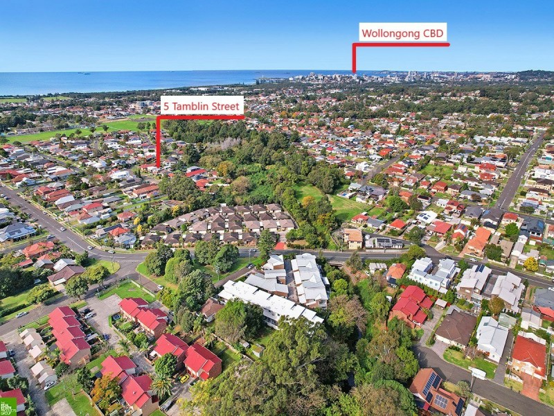 5 Tamblin Street, Fairy Meadow NSW 2519