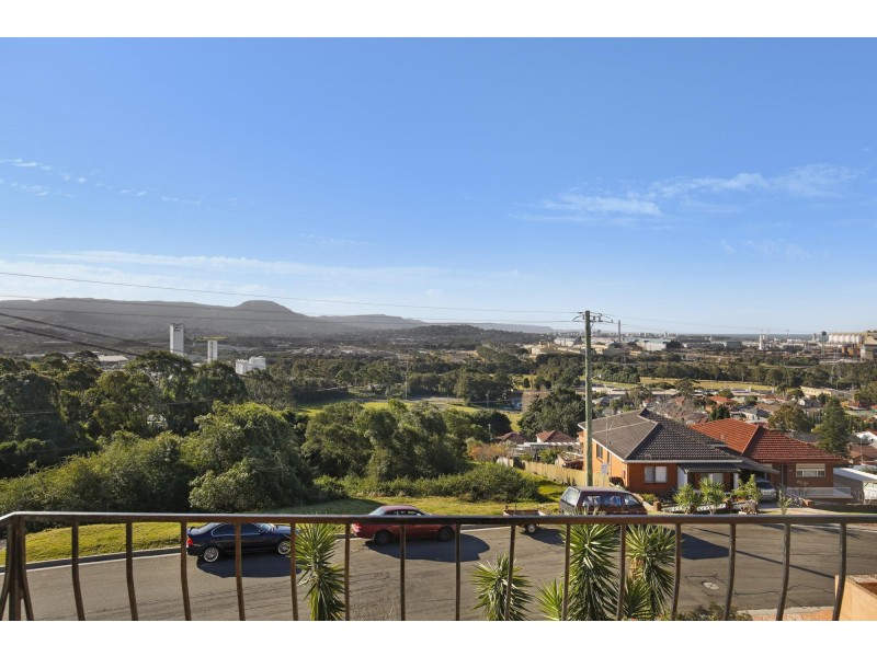 35 Jarvie Road, Cringila NSW 2502