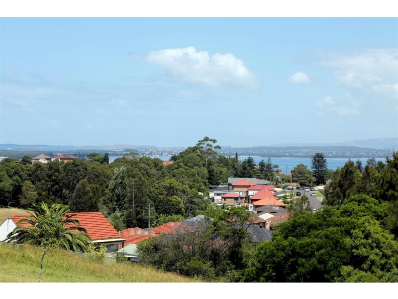 21 Backhouse Road, Lake Heights NSW 2502