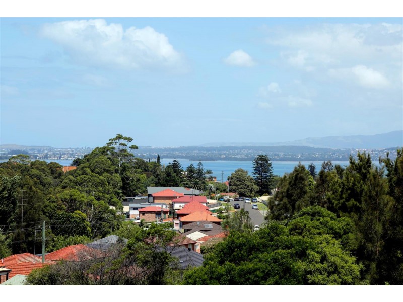 21 Backhouse Road, Lake Heights NSW 2502