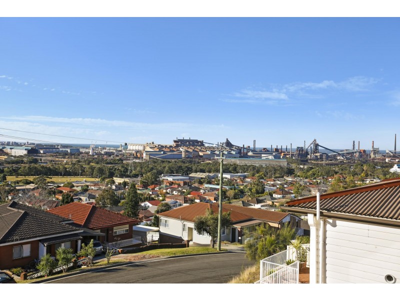 35 Jarvie Road, Cringila NSW 2502