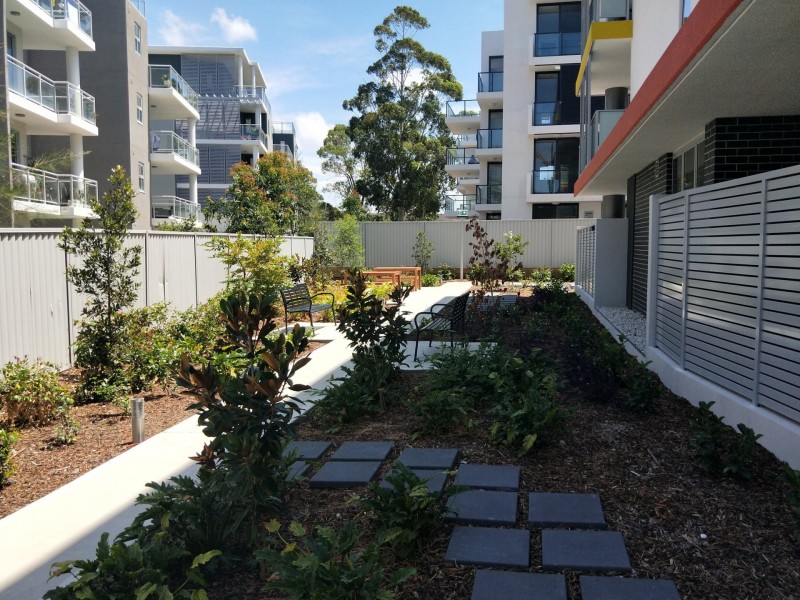 106/450 Peats Ferry Road, Asquith NSW 2077