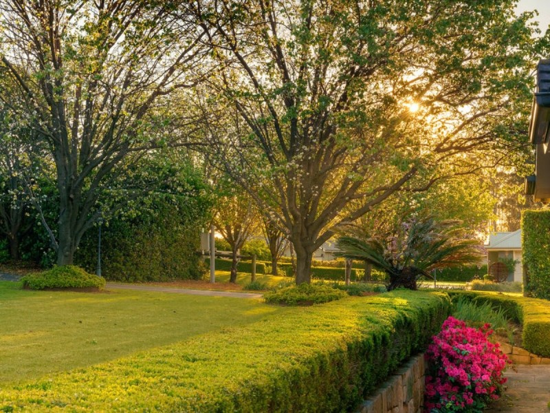 77 Sunnyside Drive, Ellis Lane NSW 2570