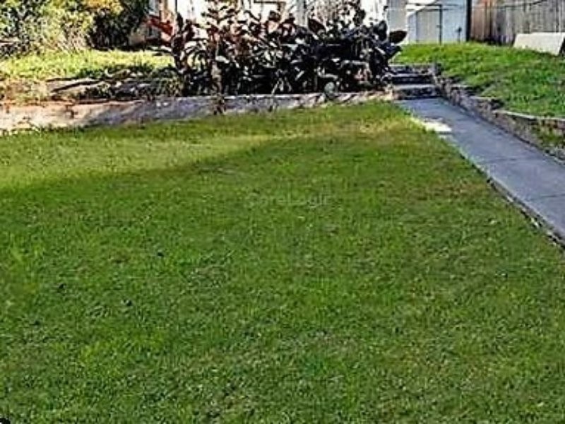 12 Highgate Street, Bexley NSW 2207