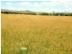 116 -148 Scrub Creek Road, Scrub Creek QLD 4313