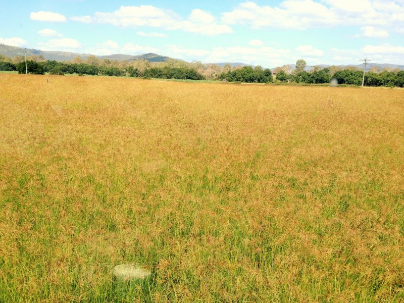 116 -148 Scrub Creek Road, Scrub Creek QLD 4313