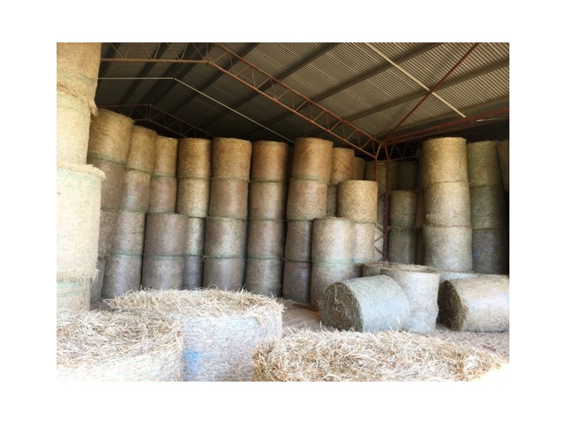 116 -148 Scrub Creek Road, Scrub Creek QLD 4313