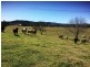 116 -148 Scrub Creek Road, Scrub Creek QLD 4313