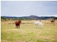 614 GLAMORGANVALE-LOWOOD ROAD, Glamorgan Vale QLD 4306
