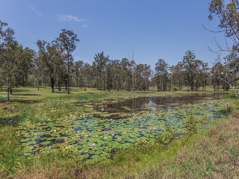 53 Durlik Road, Pine Mountain QLD 4306
