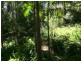 523 Wivenhoe Somerset Road, Split Yard Creek QLD 4306