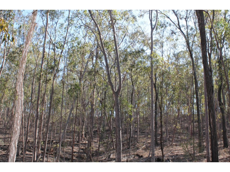 194-228 Grandchester Mt Mort Road, Grandchester QLD 4340