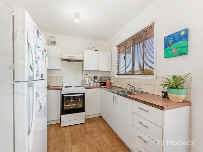 119 Chubb Street, One Mile QLD 4305
