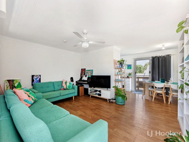 119 Chubb Street, One Mile QLD 4305