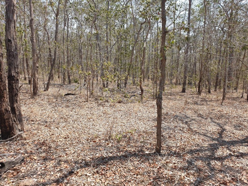 171 Wattle Rd, Coominya QLD 4311