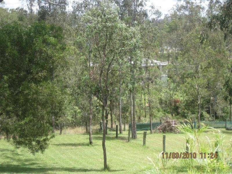 10 Mamaku Street, Fernvale QLD 4306