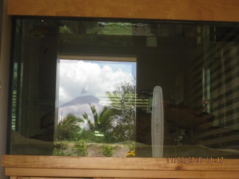 10 Mamaku Street, Fernvale QLD 4306