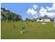 996 Lowood Minden Rd, Minden QLD 4311