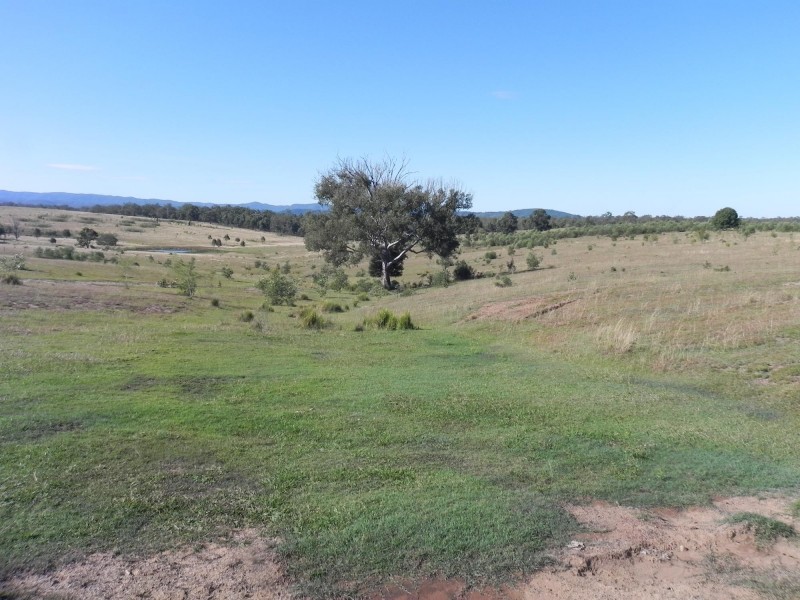 Lot 217, 6 Tatham Road, Haigslea QLD 4306