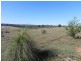 Lot 217, 6 Tatham Road, Haigslea QLD 4306