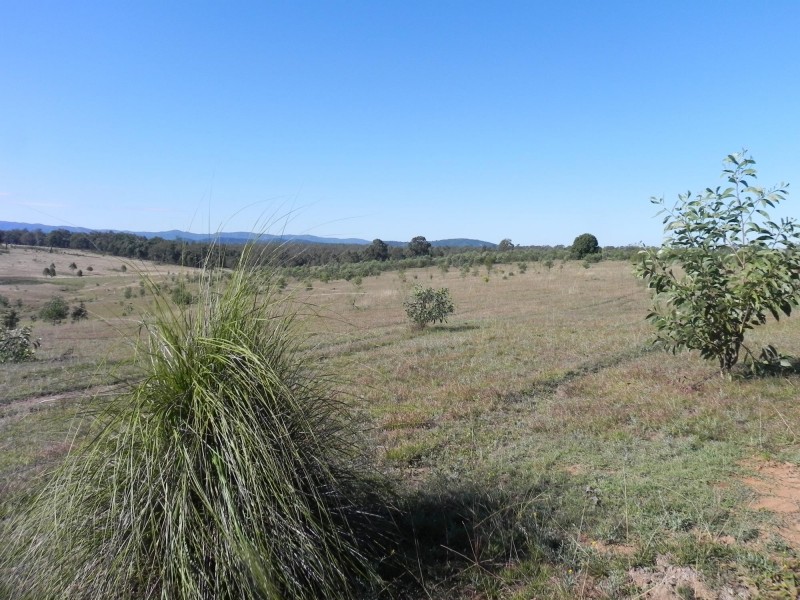 Lot 217, 6 Tatham Road, Haigslea QLD 4306