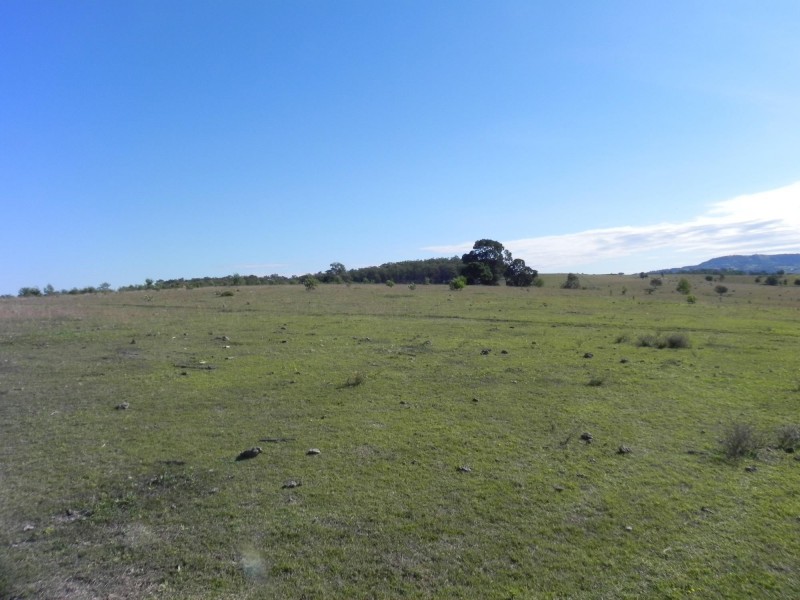 Lot 217, 6 Tatham Road, Haigslea QLD 4306