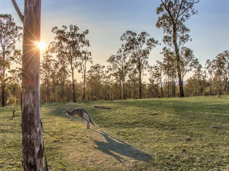 Proposed L Clarendon Rd, Rifle Range QLD 4311