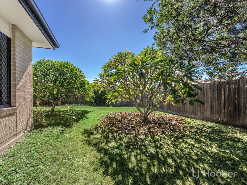 3 Benjamina Drive, Redbank Plains QLD 4301