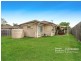 53 Benjamina Drive, Redbank Plains QLD 4301