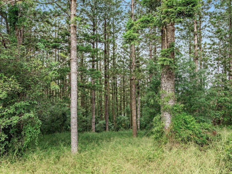 312-356 Rosewood Marburg Road, Tallegalla QLD 4340