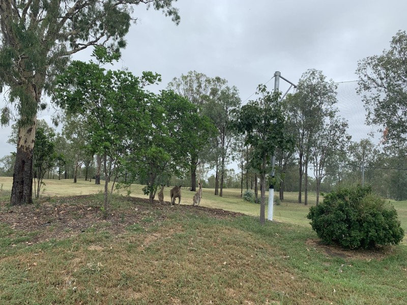 49 Chalk Street, Leichhardt QLD 4305