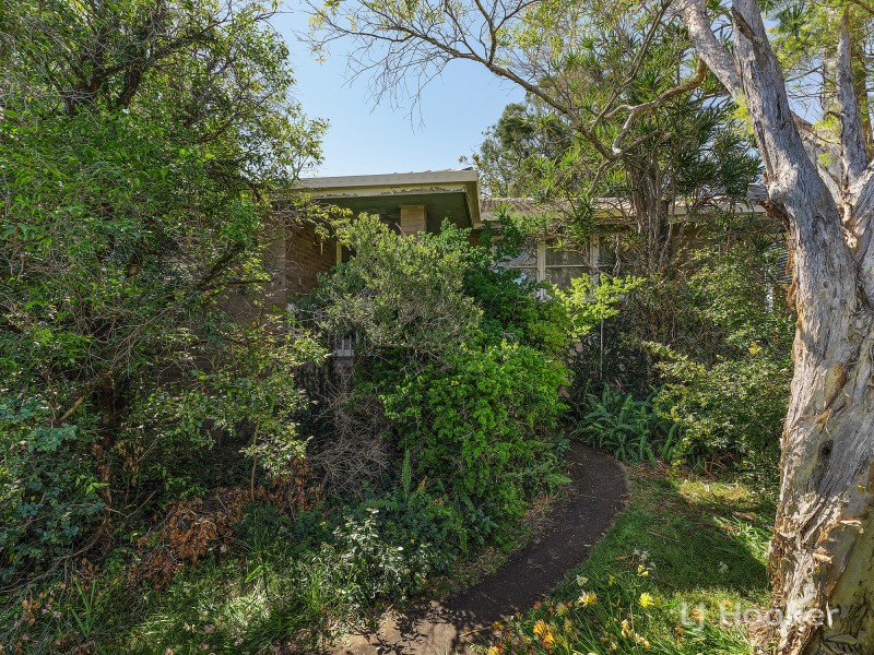 11 Gwendoline Street, Raceview QLD 4305