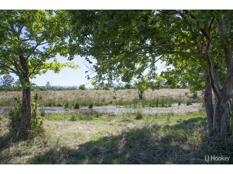 166 Moores Pocket Road, Moores Pocket QLD 4305