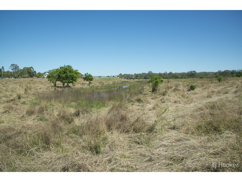 166 Moores Pocket Road, Moores Pocket QLD 4305