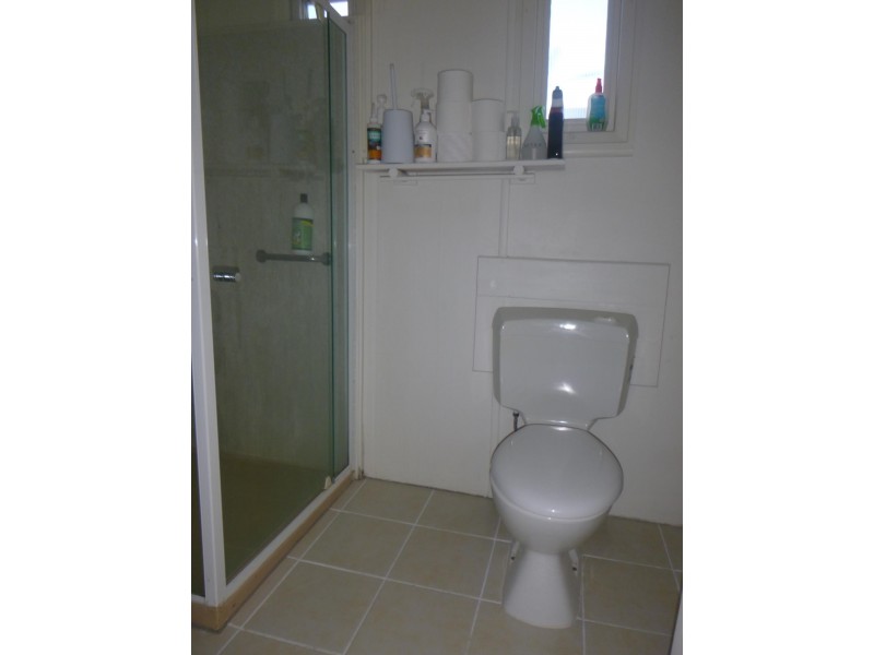 7 Bridson Avenue, East Ipswich QLD 4305