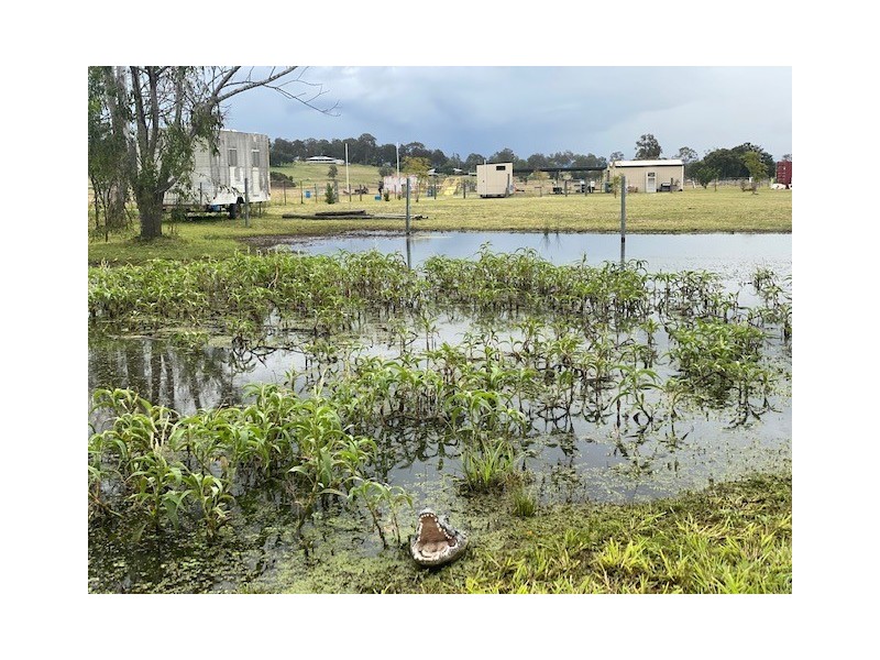 7 Rons Road, Regency Downs QLD 4341