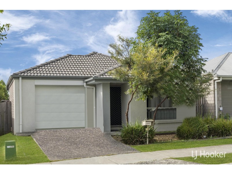 19 Junction Drive, Redbank Plains QLD 4301